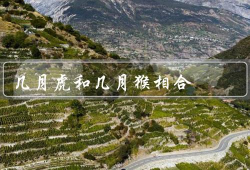 几月虎和几月猴相合，虎、猴、小结