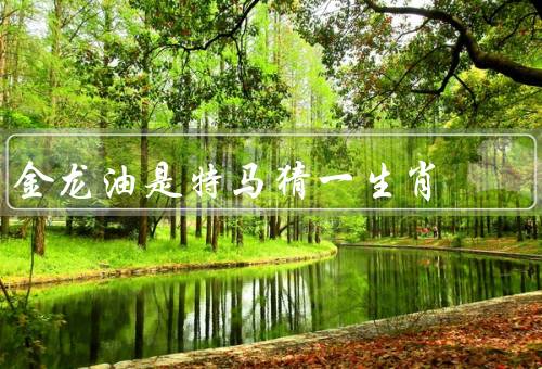 金龙油是特马猜一生肖，制作工艺／营养价值／在中国传统文化中含义