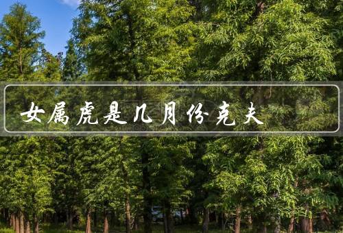 女属虎是几月份克夫（个性特点、观念、建议）