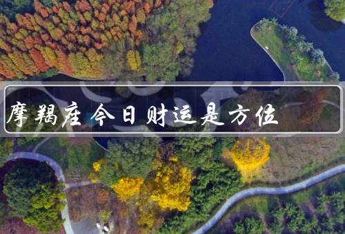 摩羯座今日财运是方位最佳，财运亨通／理财计划／开拓财源