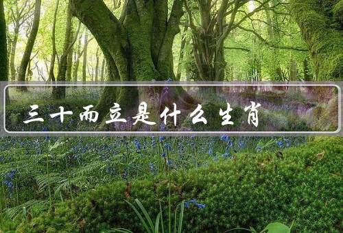 三十而立是什么生肖，三十而立／人生观的改变／事业与家庭