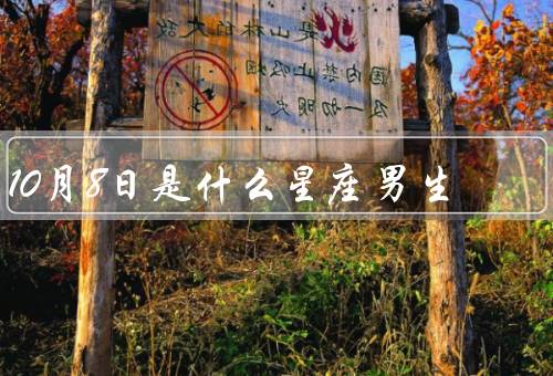 10月8日是什么星座男生（性格特点／爱情观／事业发展）