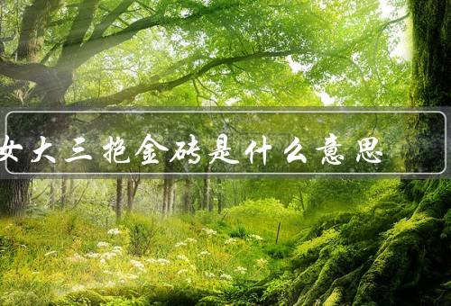 女大三抱金砖是什么意思，由来／意义／实践