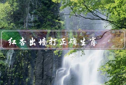 红杏出墙打正确生肖，红杏出墙／正确生肖／结语