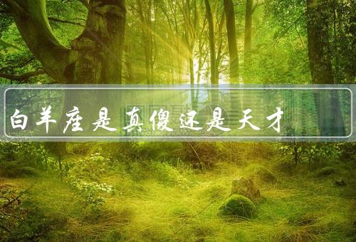 白羊座是真傻还是天才，冲动与勇气／缺乏思考／真傻还是天才