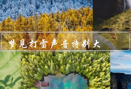梦见打雷声音特别大，急促的闪电／震耳欲聋的雷声