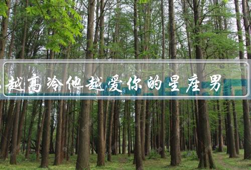 你越高冷他越爱你的星座男，神秘感、自我保护、稳定性