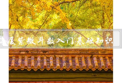 倪海厦紫微斗数入门基础知识（起源、基本概念、应用）