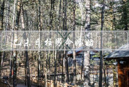 乙未日柱男命婚姻，性格特点／婚姻状况／婚姻建议
