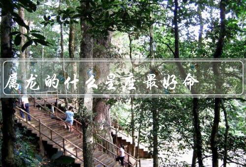 属龙的什么星座最好命，聪明机智、领导能力、事业和财富