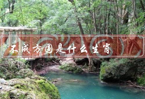 不成方圆是什么生肖，不成方圆／特点／事业和爱情