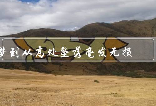 梦到从高处坠落毫发无损，一：心理暗示／二：自我保护机制