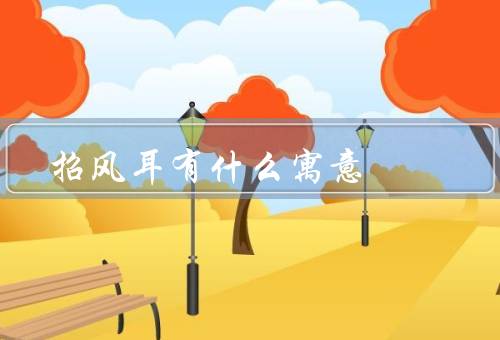 招风耳有什么寓意，好运和祝福／勇气和坚韧／美好的愿望和梦想