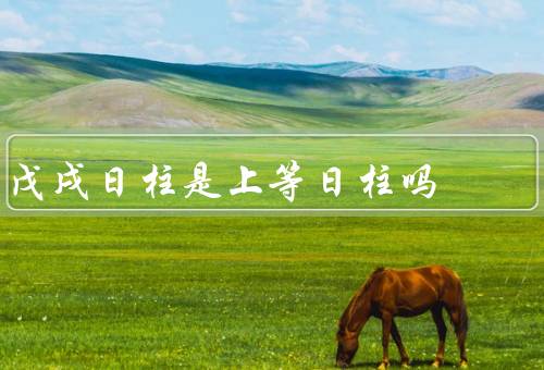 戊戌日柱是上等日柱吗，五行属性／命理优势／事业发展