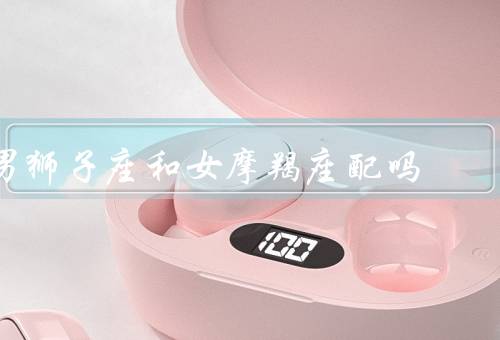 男狮子座和女摩羯座配吗，热情与摩羯座的稳定／自信与摩羯座的实际