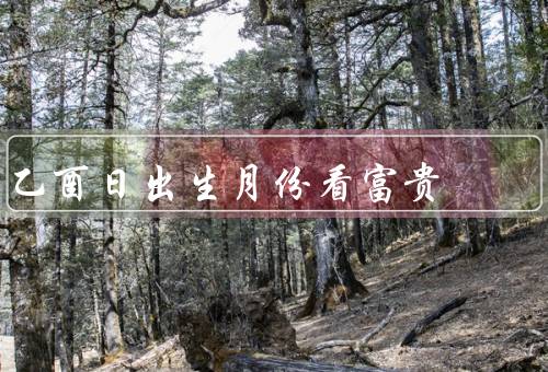 乙酉日出生月份看富贵（正月出生／二月出生／三月出生）