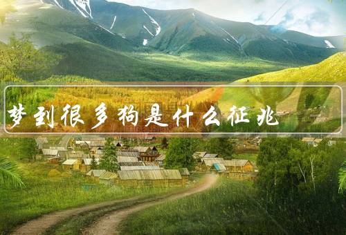 梦到很多狗是什么征兆 女性，狗的象征意义／梦中狗的数量