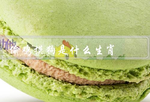 偷鸡摸狗是什么生肖，属猴的人、属狗的人、其他生肖