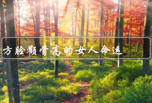 方脸颧骨高的女人命运（面临挑战／独特魅力／机遇和发展）
