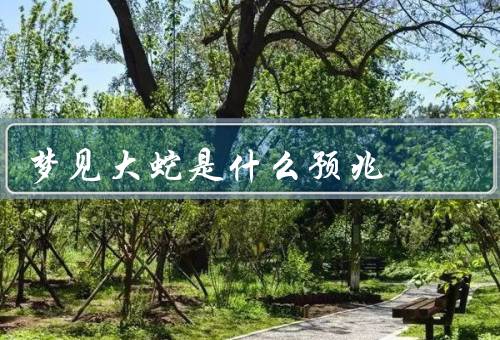 梦见大蛇是什么预兆，潜在的危险／挑战的到来／变化的到来