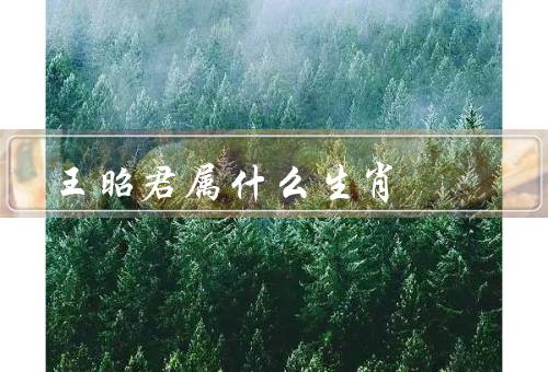 王昭君属什么生肖，生肖／故事／传承