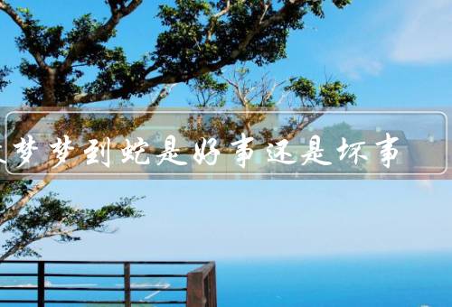 做梦梦到蛇是好事还是坏事，蛇的象征意义／梦境的个人解读