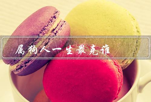 属狗人一生最克谁（亲情、友情、职场）