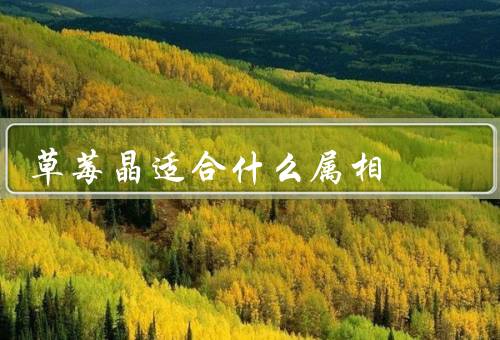草莓晶适合什么属相，狮子座／天秤座／射手座