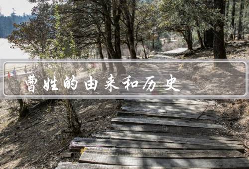 曹姓的由来和历史，起源／历史地位／影响力