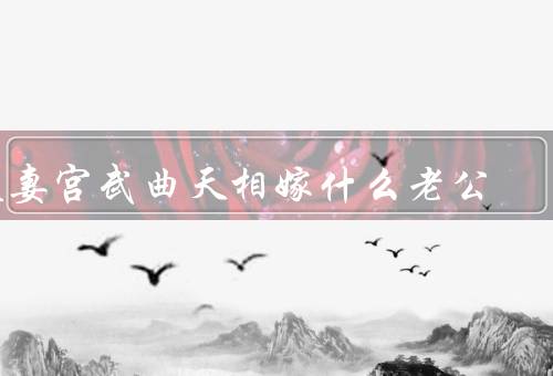夫妻宫武曲天相嫁什么老公，夫妻宫、武曲、天相