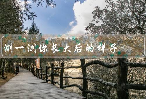 测一测你长大后的样子，预测未来的外貌／对未来进行规划