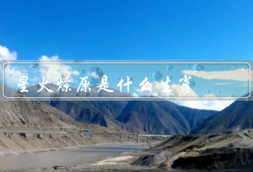 星火燎原是什么生肖（星火燎原、虎的象征意义、虎年的特点）