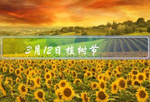 3月12日植树节，重要意义／植树活动／每个人的责任