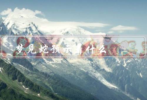 梦见蛇预示着什么（蛇的象征、内心的冲突、潜意识的警示）