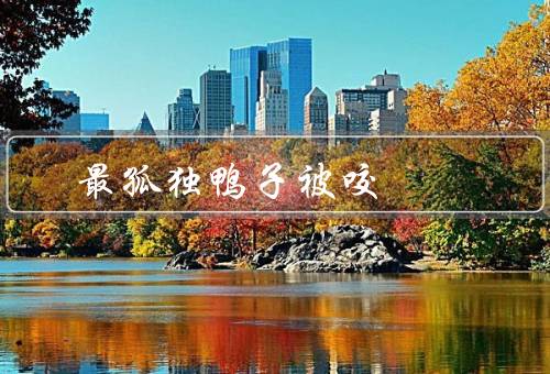 最孤独鸭子被咬死（最孤独的鸭子／邂逅凶残的动物／最后的离别）