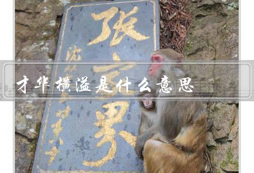 才华横溢是什么意思，定义、特征、培养方法