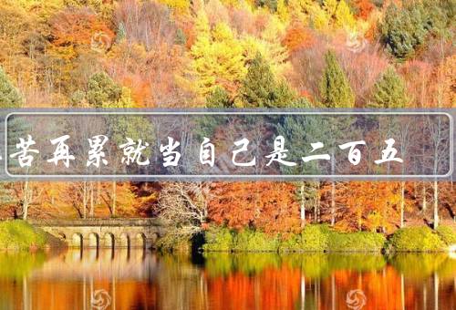 再苦再累就当自己是二百五，坚持不懈／乐观积极／不断进取