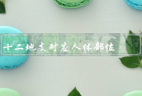 十二地支对应人体部位（子：头部／丑：喉咙／寅：手臂）