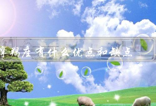摩羯座有什么优点和缺点，勤奋努力／稳重可靠／有毅力