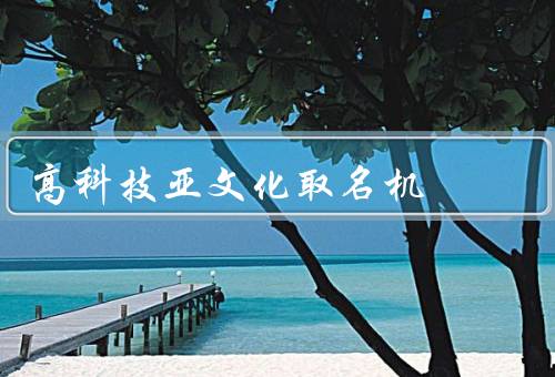 高科技亚文化取名机（工作原理／应用场景／未来发展趋势）