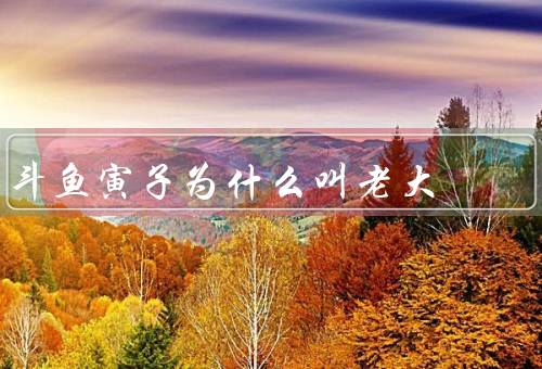 斗鱼寅子为什么叫老大，实力过人／人气爆棚／慈善公益