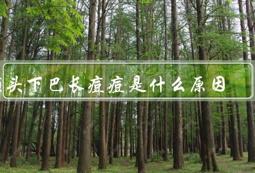 额头下巴长痘痘是什么原因，内部原因、外部原因、预防和