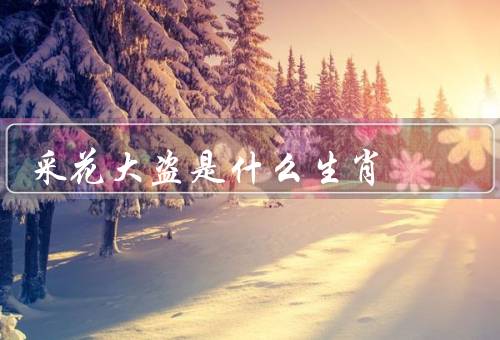 采花大盗是什么生肖（定义、属猴的特点、与属猴的关系）