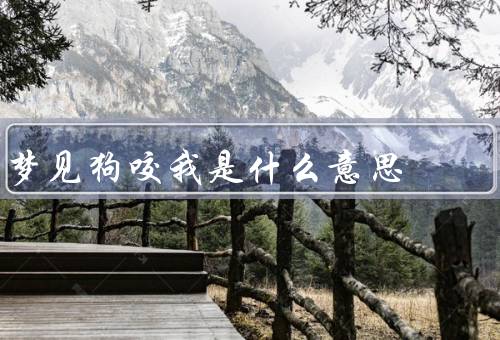 梦见狗咬我是什么意思（潜意识的警示、控制欲望和压力）