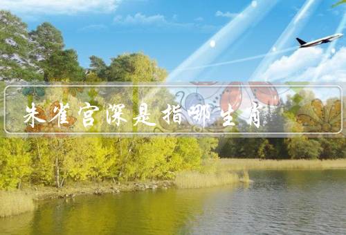 朱雀宫深是指哪生肖，含义／特征／适合职业