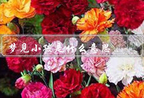 梦见小孩是什么意思，出现、性格特征、情感意义