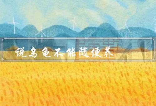 说乌龟不能随便养