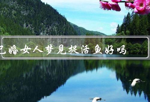 已婚女人梦见捉活鱼好吗（鱼的象征意义／挑战和变化）
