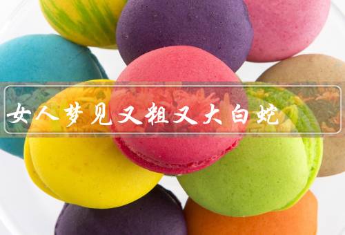 女人梦见又粗又大白蛇（巨大的白蛇／粗壮的白蛇／白蛇缠绕自己）