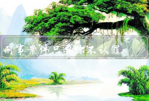 刑事案件只要你不认罪（守法的权利和义务／不认罪可能带来的后果）